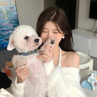 第一神拳 New Challenger